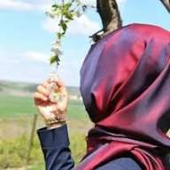 arzuerdem