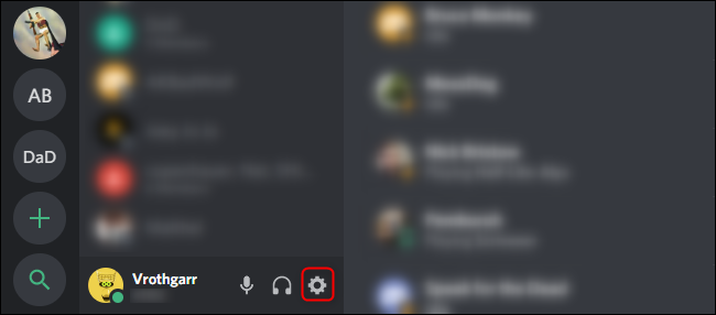 Discord Ayarları