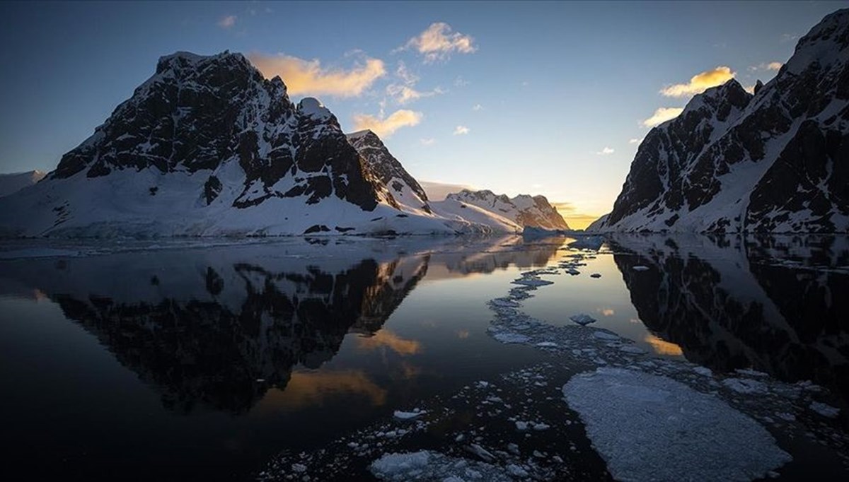 Araştırma: Gemilere tutunan canlılar, Antarktika'nın ekosistemini tehdit edebilir