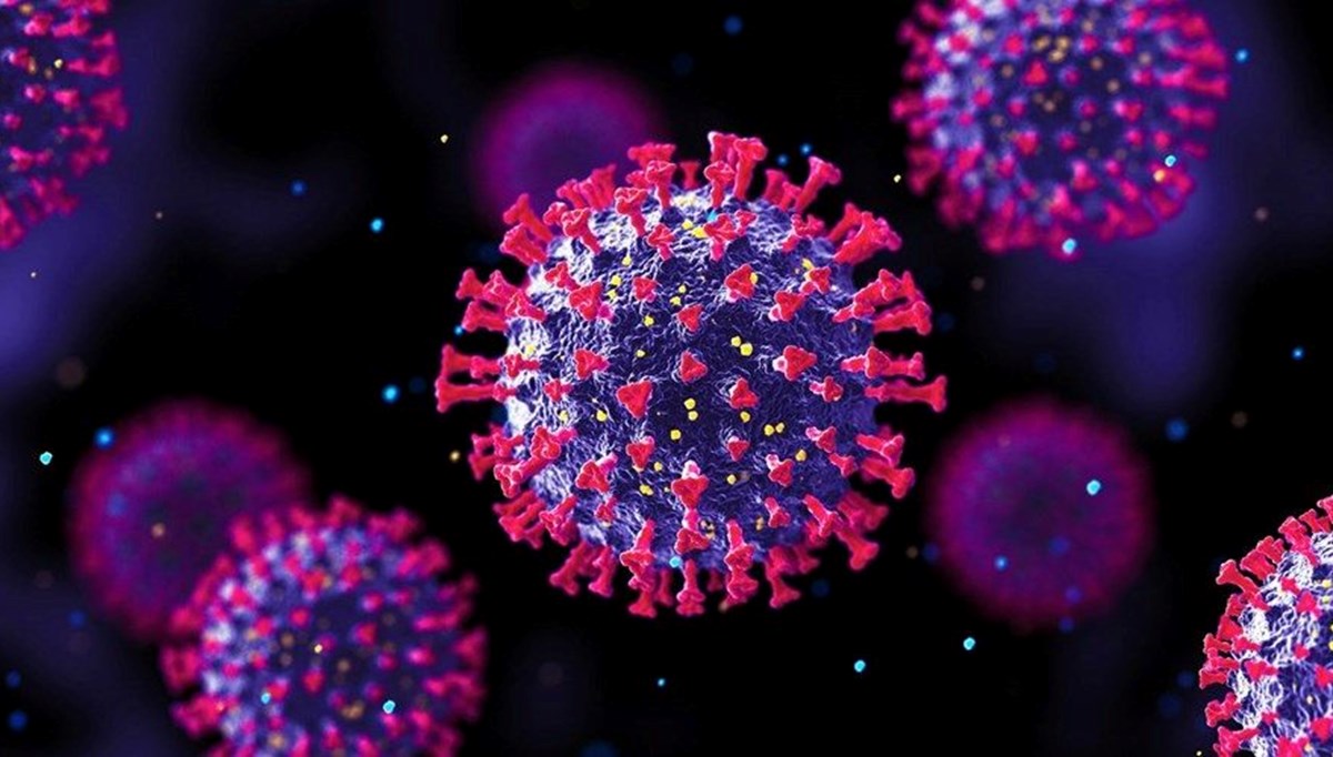 12 Ocak 2022 corona virüs tablosu: 145 can kaybı, 77 bin 722 yeni vaka