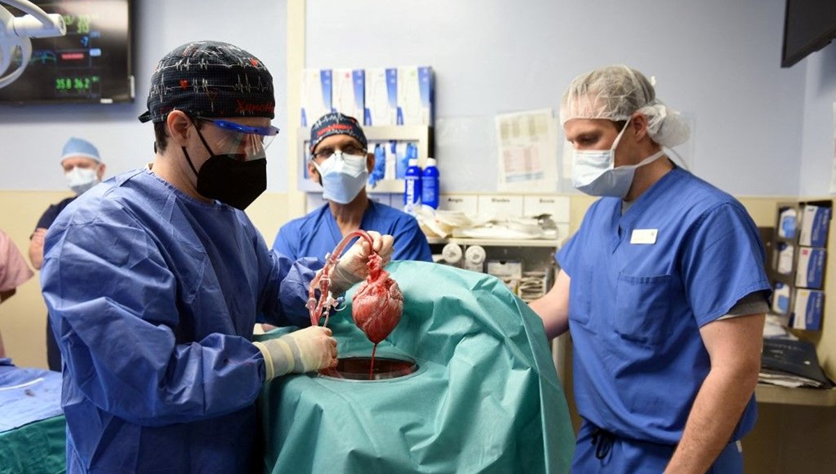 Dünyada ilk kez bir domuzdan insana kalp nakli yapıldı